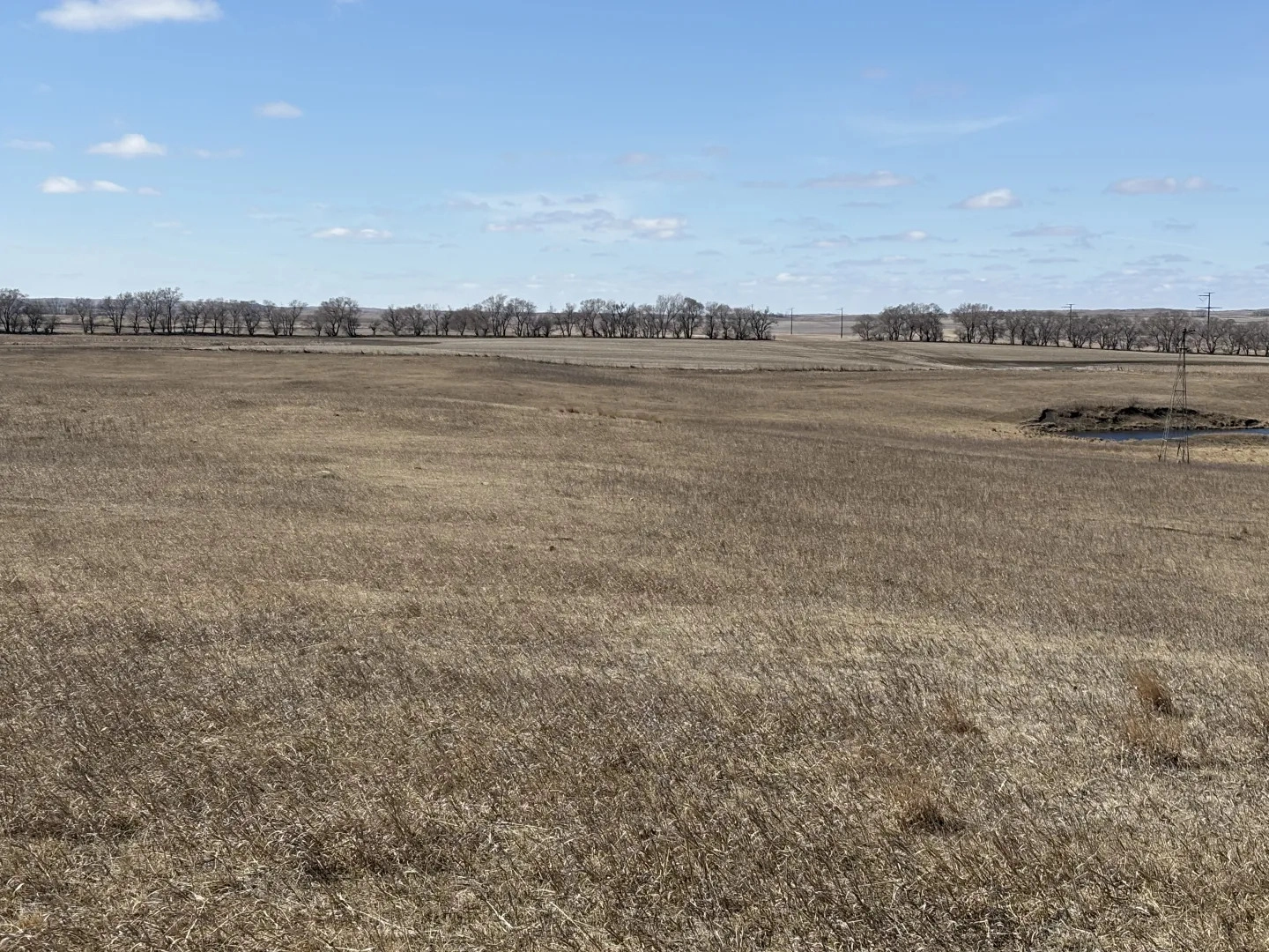 Pifer All Auction Sales | Pifer's Auction & Realty