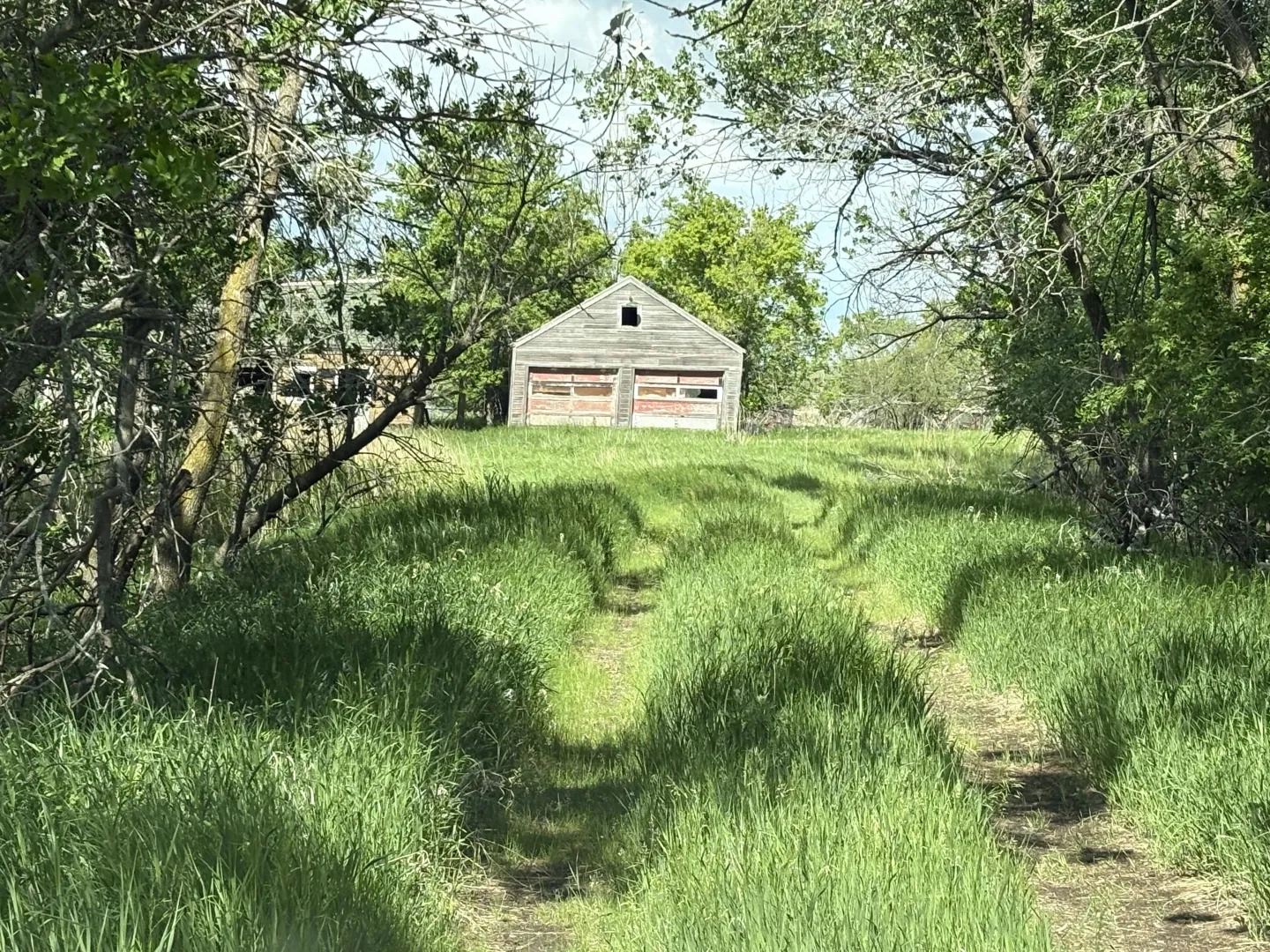 Pifer All Auction Sales | Pifer's Auction & Realty