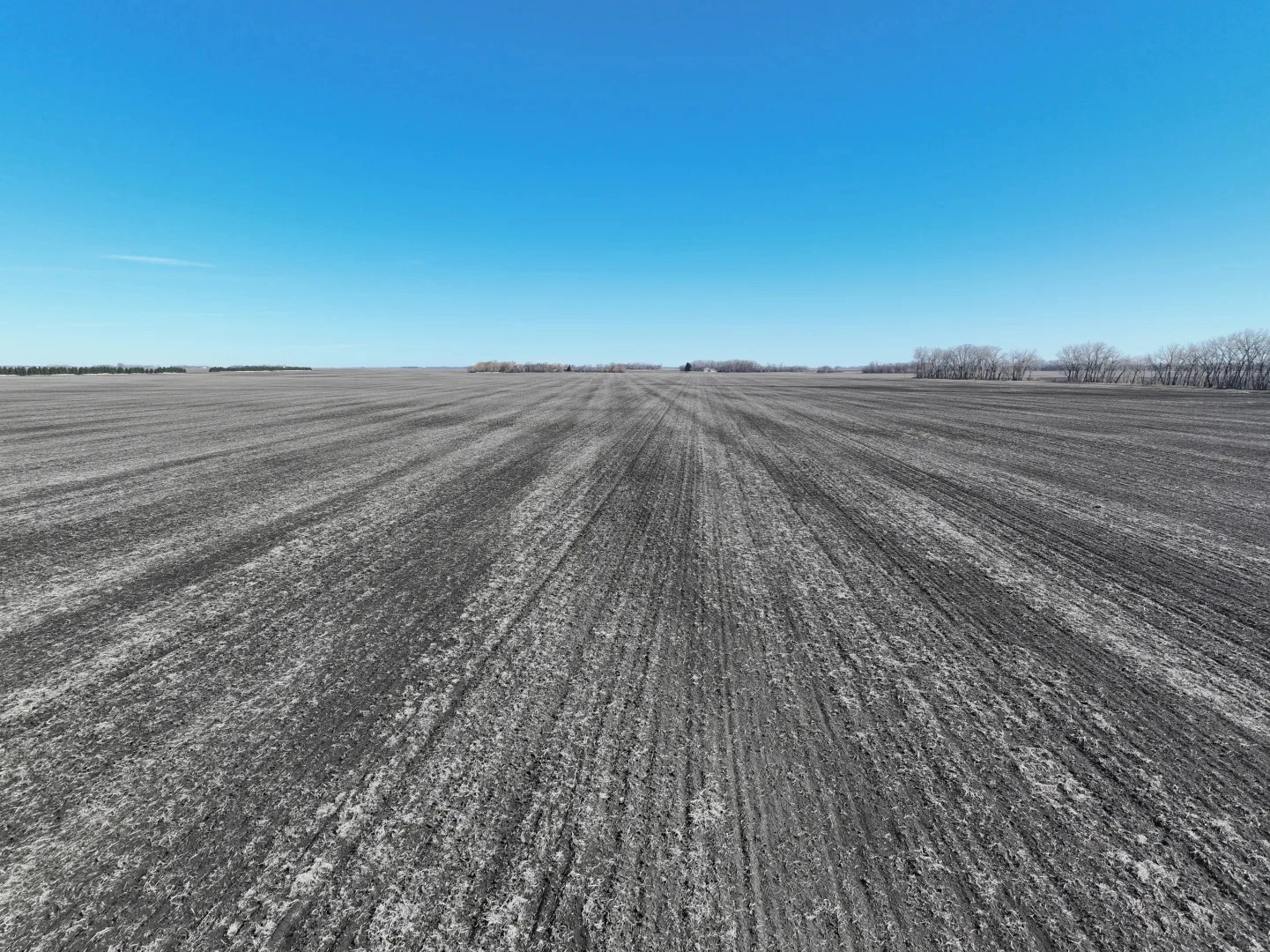 Pifer All Auction Sales | Pifer's Auction & Realty